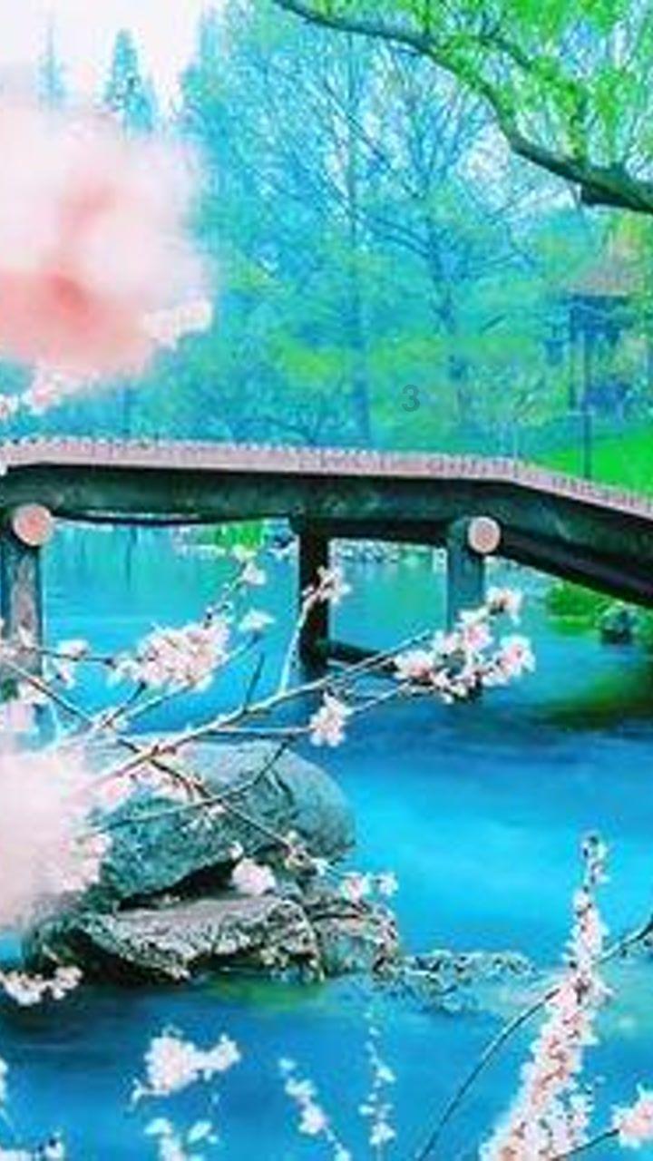 十堰这场画展不容错过,汇集全国各地50余幅精品年画